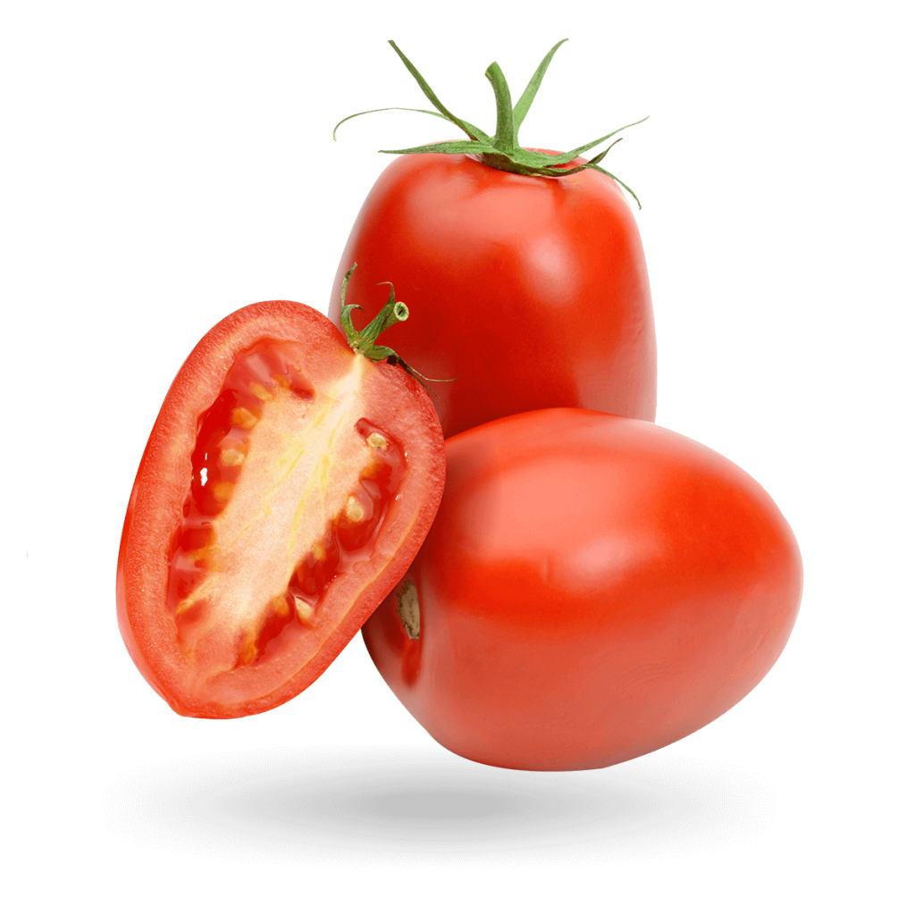 Roma Tomato Sicarfarms