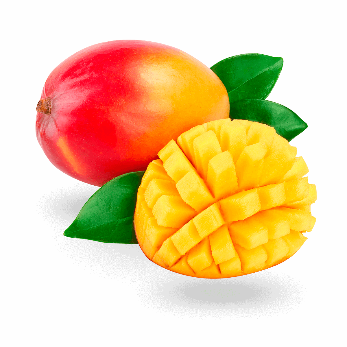 Mango. – SicarFarms