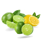 menu-citricos-3
