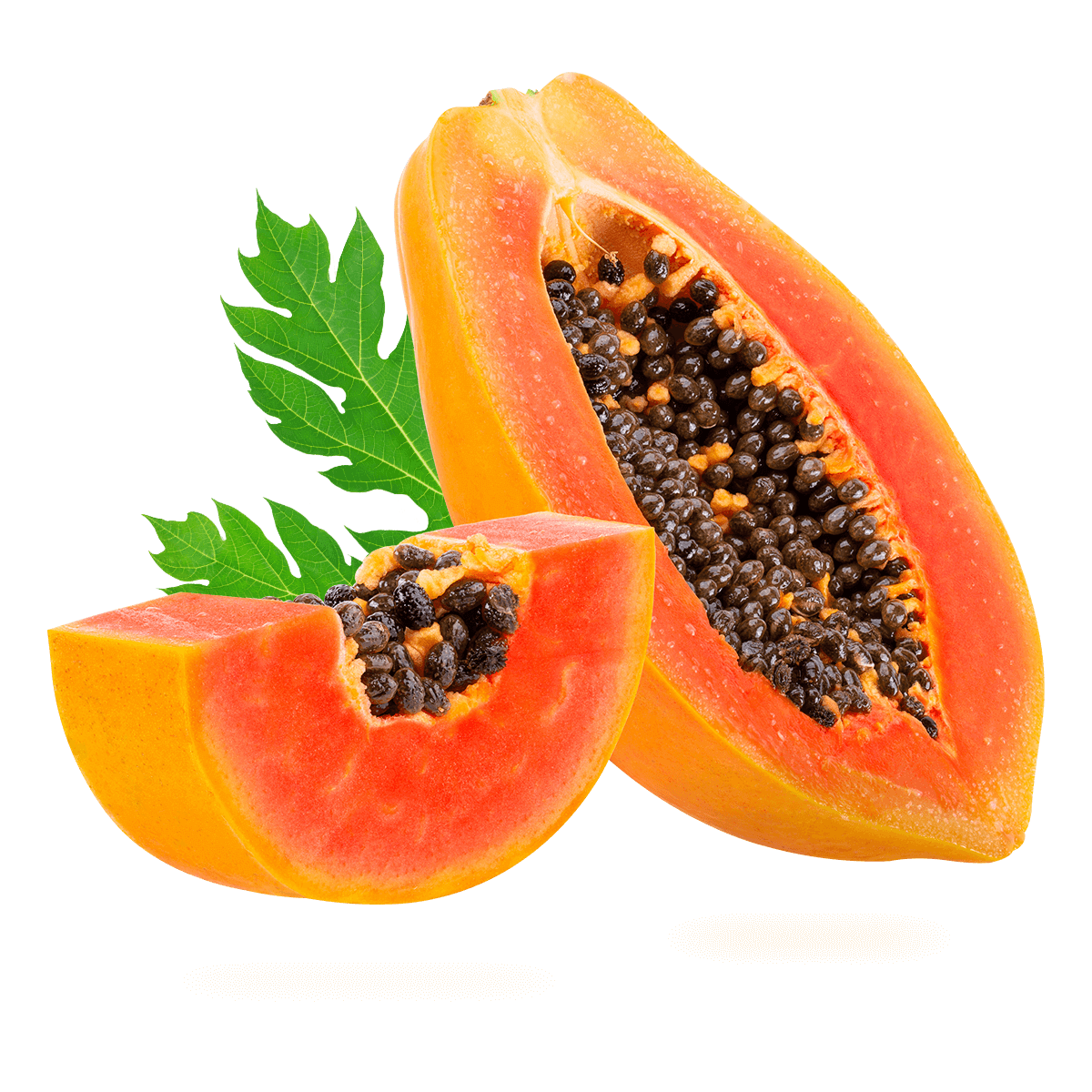 Papaya. SicarFarms