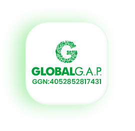 logo-gobalgap-2-b