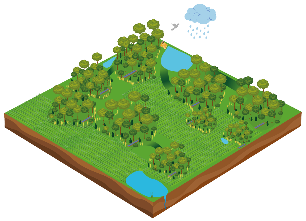 Diagrama 3D del sistema agroforestal SiCar Farms