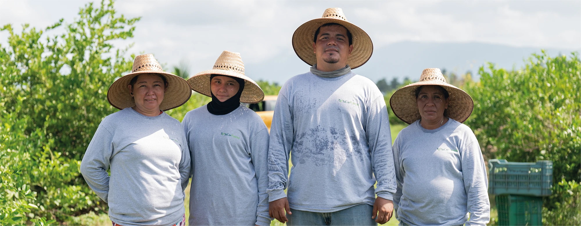 Equipo de trabajadores SiCar Farms