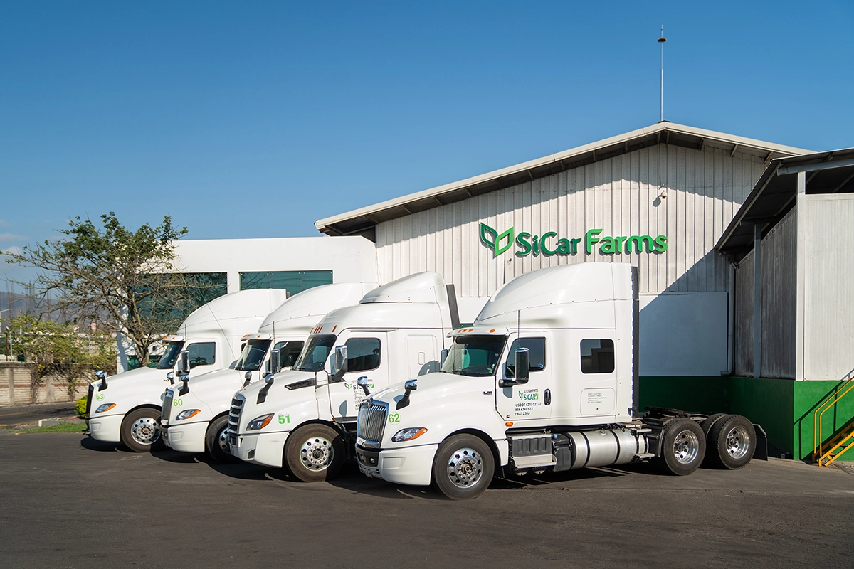 Flota de unidades Autotransportes SiCar